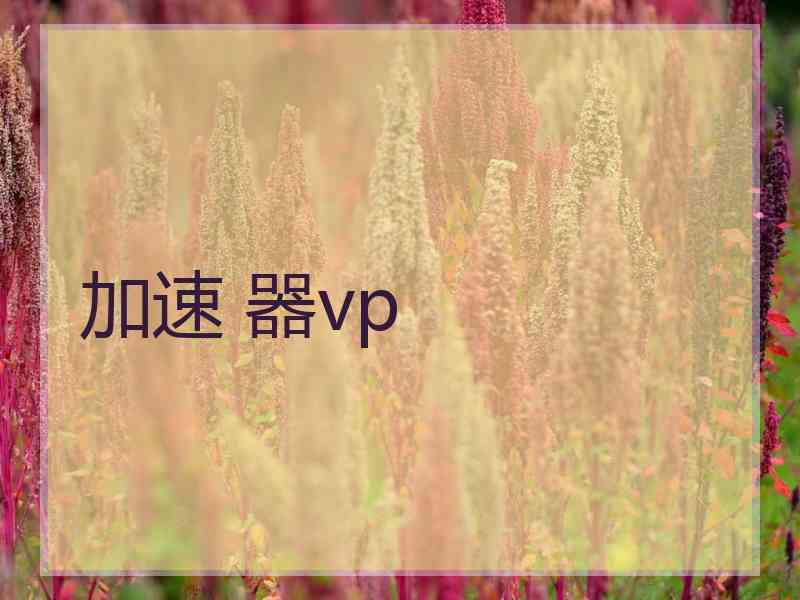 加速 器vp