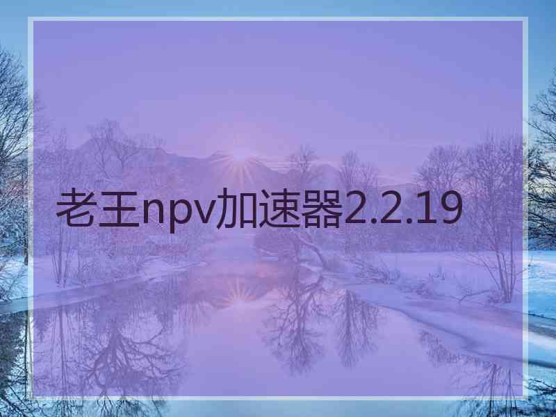 老王npv加速器2.2.19
