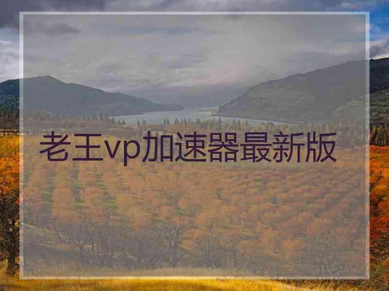老王vp加速器最新版