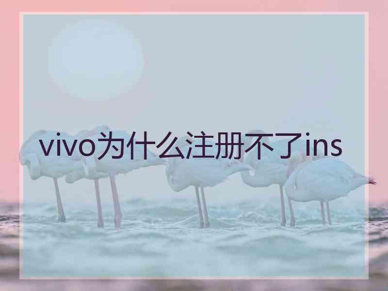 vivo为什么注册不了ins