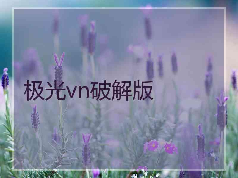 极光vn破解版