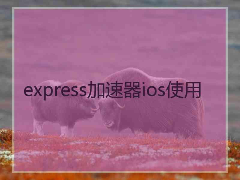 express加速器ios使用