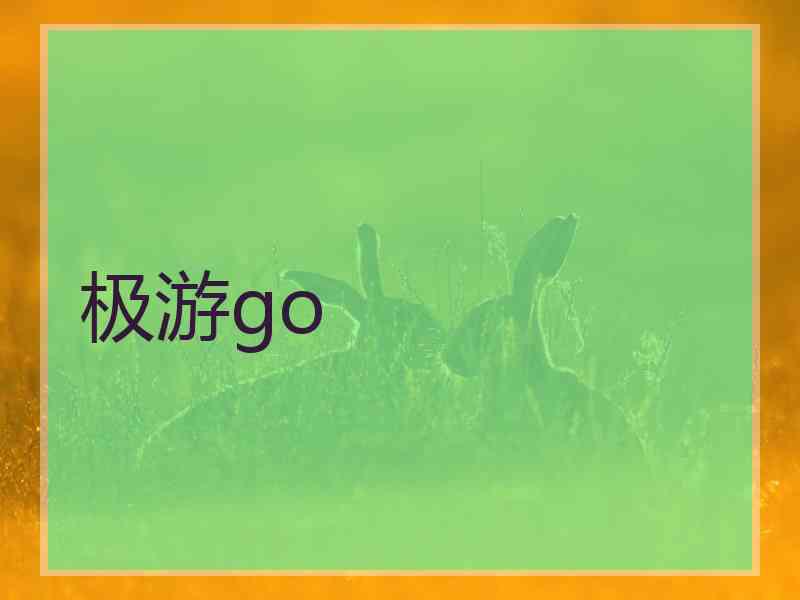 极游go