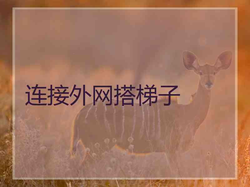 连接外网搭梯子