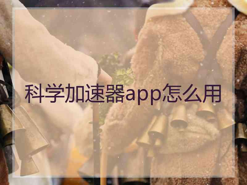 科学加速器app怎么用
