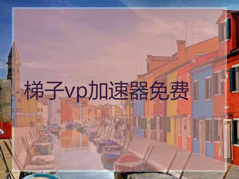 梯子vp加速器免费