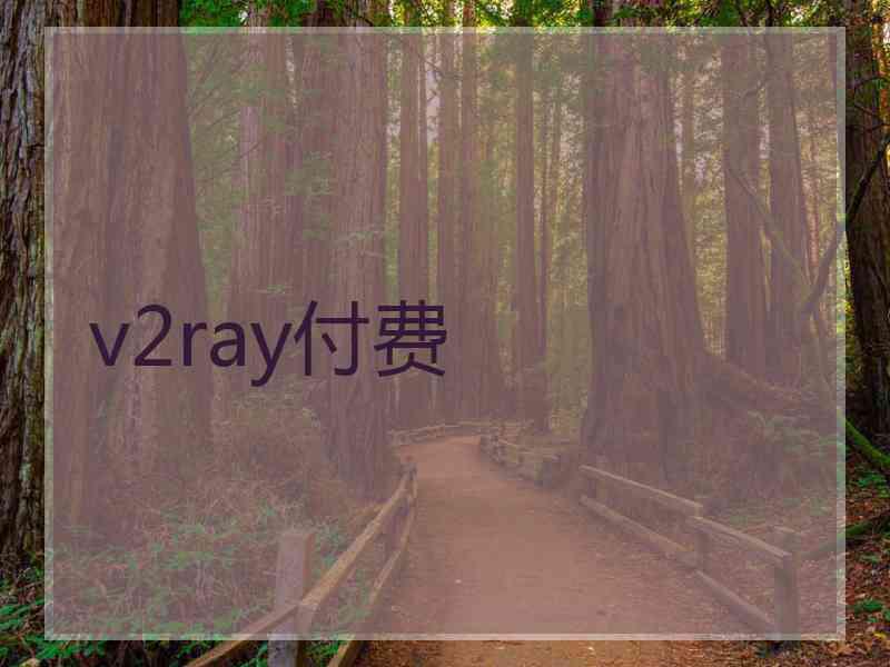 v2ray付费