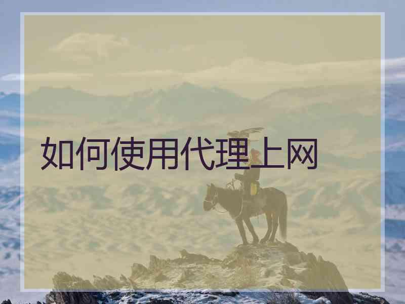 如何使用代理上网