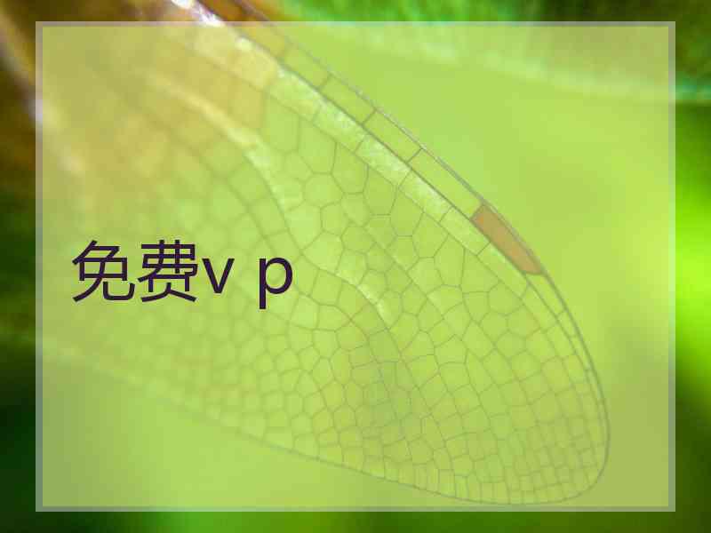 免费v p