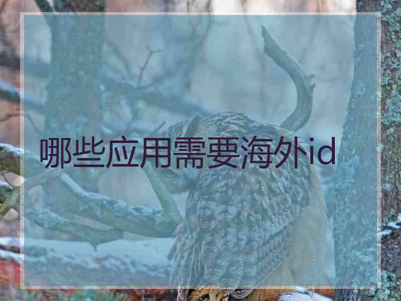 哪些应用需要海外id