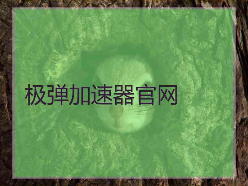 极弹加速器官网
