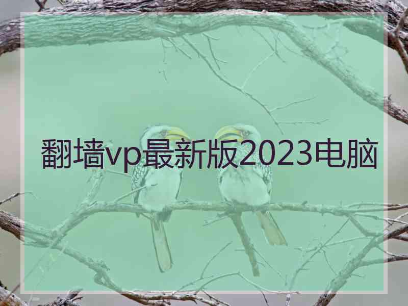 翻墙vp最新版2023电脑