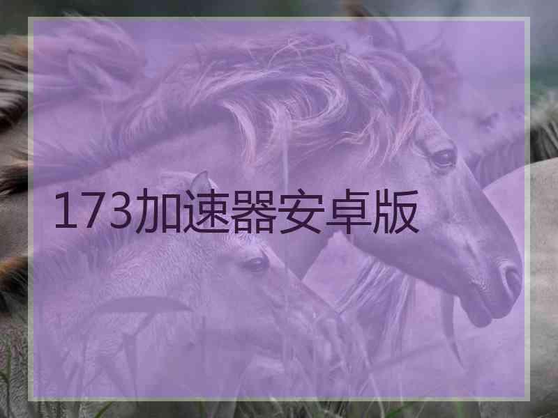 173加速器安卓版