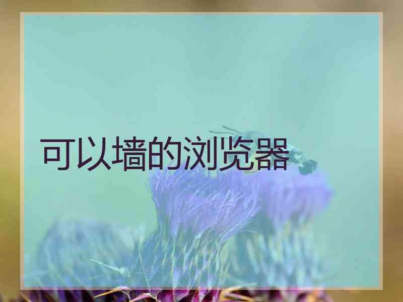 可以墙的浏览器