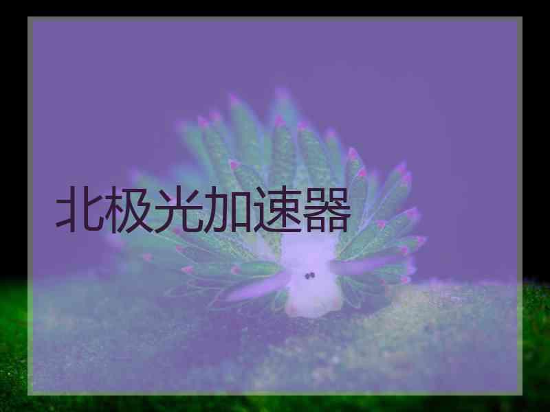 北极光加速器