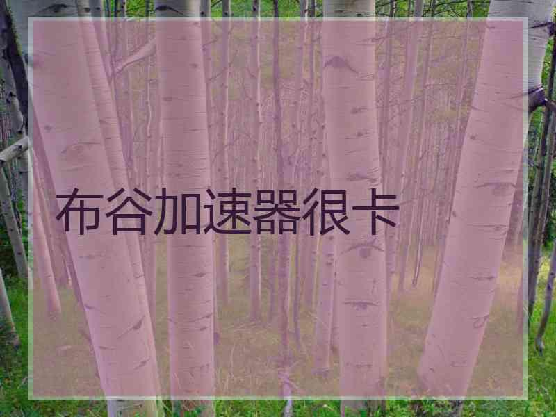 布谷加速器很卡