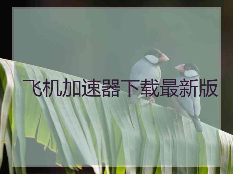 飞机加速器下载最新版