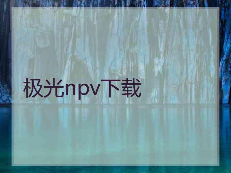极光npv下载
