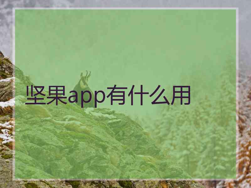 坚果app有什么用