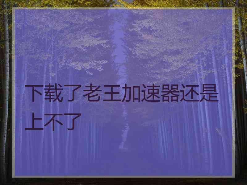 下载了老王加速器还是上不了
