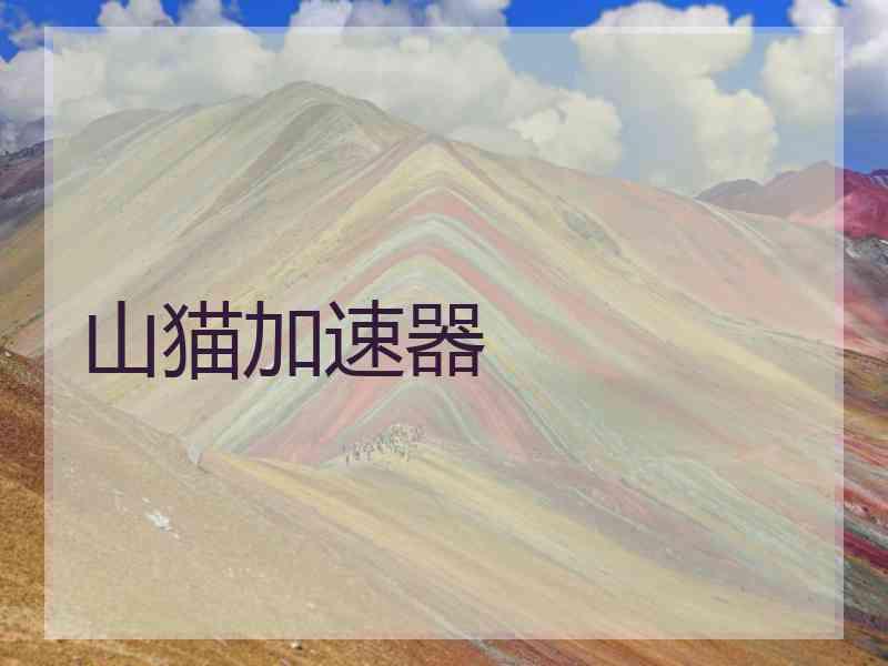 山猫加速器