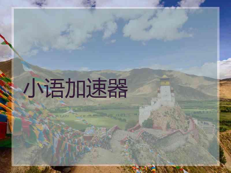 小语加速器