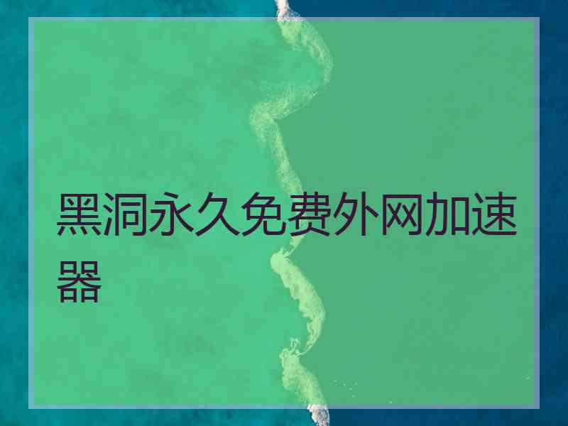 黑洞永久免费外网加速器