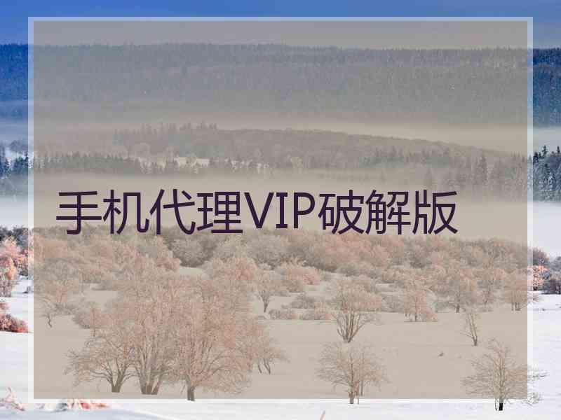 手机代理VIP破解版
