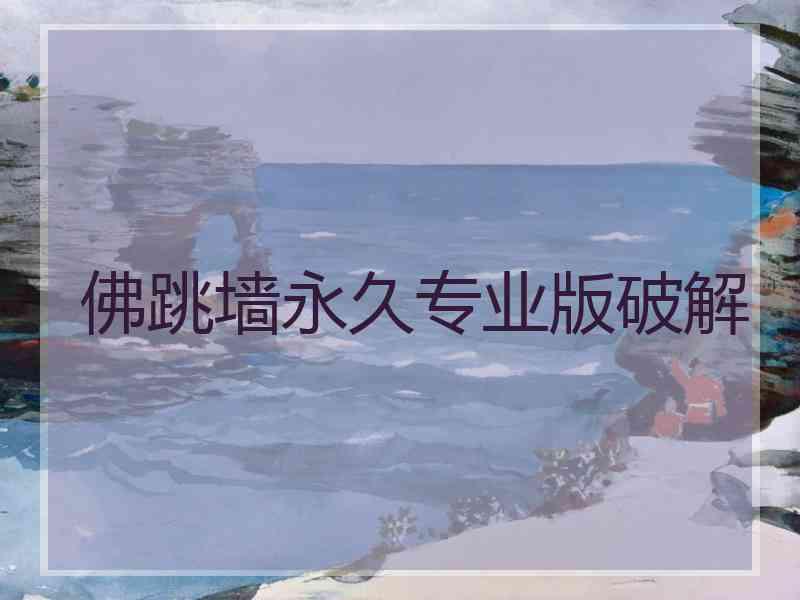 佛跳墙永久专业版破解