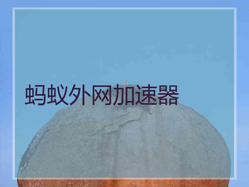 蚂蚁外网加速器