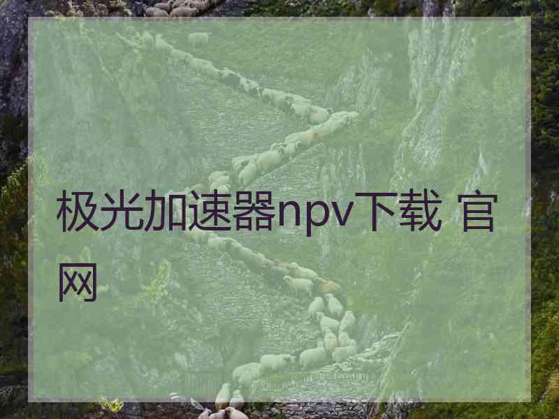 极光加速器npv下载 官网