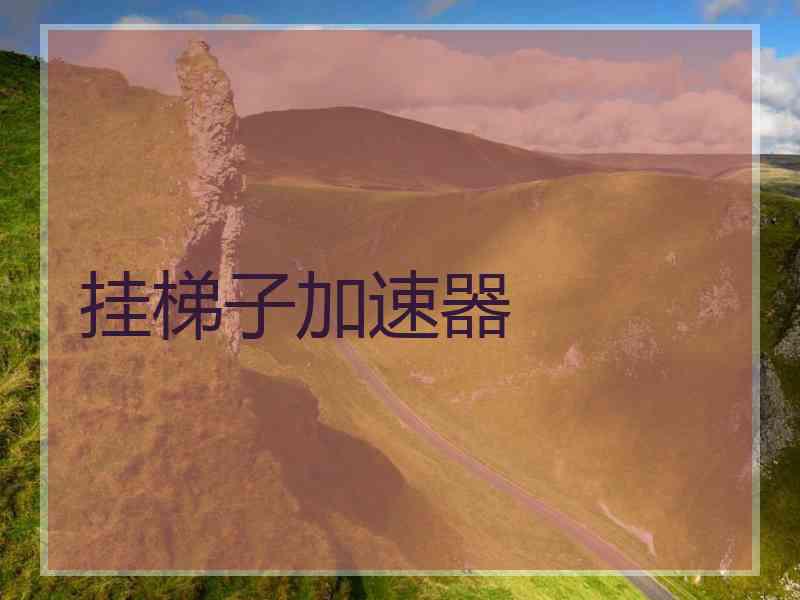 挂梯子加速器