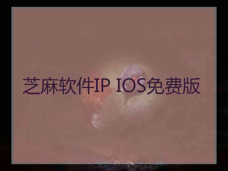 芝麻软件IP IOS免费版