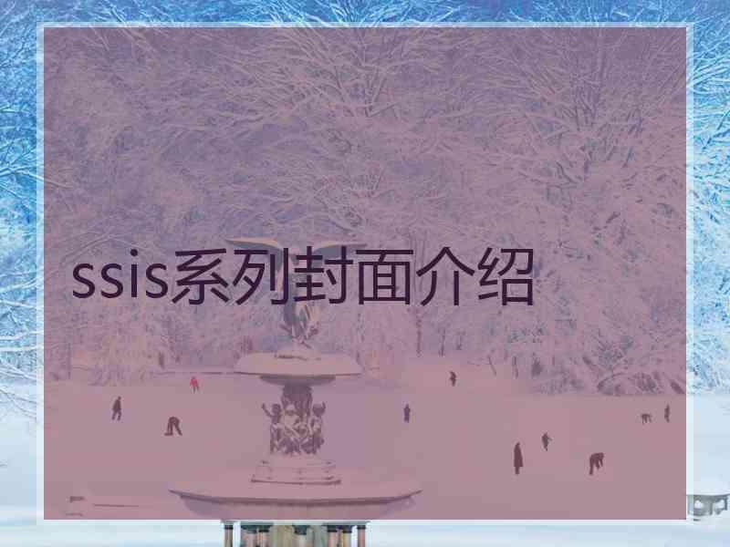 ssis系列封面介绍