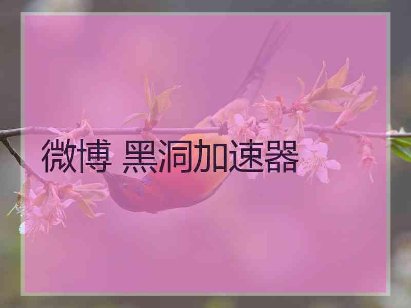 微博 黑洞加速器