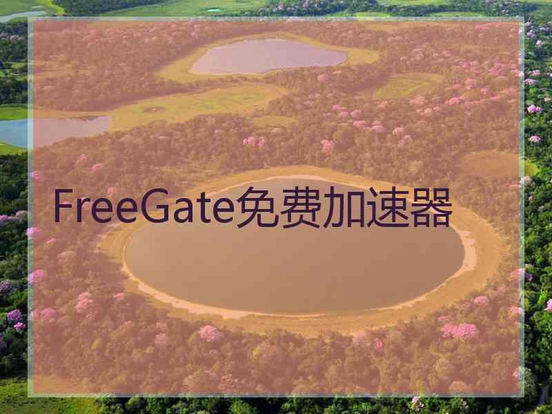 FreeGate免费加速器