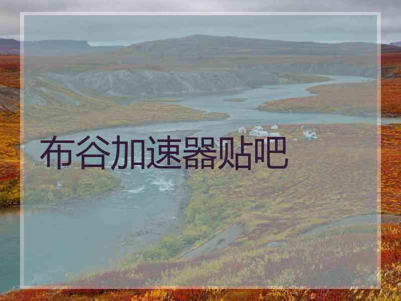 布谷加速器贴吧