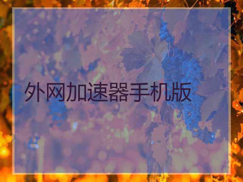 外网加速器手机版