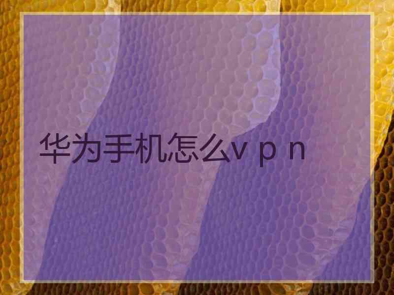 华为手机怎么v p n