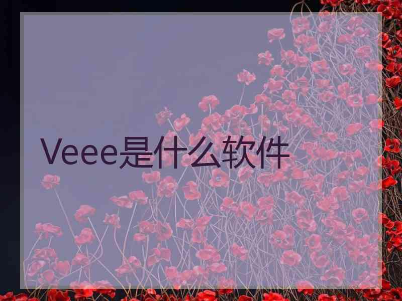 Veee是什么软件