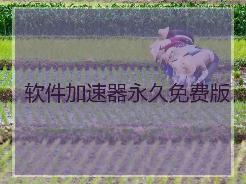 软件加速器永久免费版