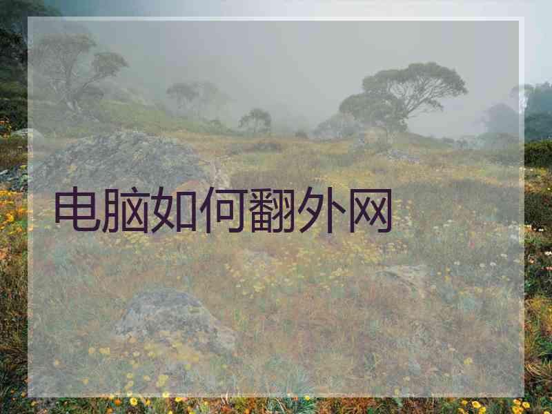 电脑如何翻外网