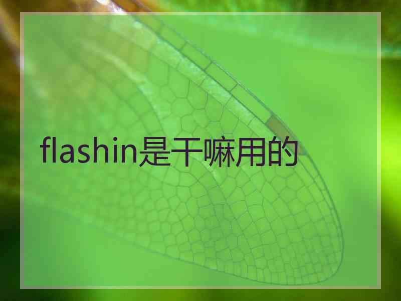 flashin是干嘛用的