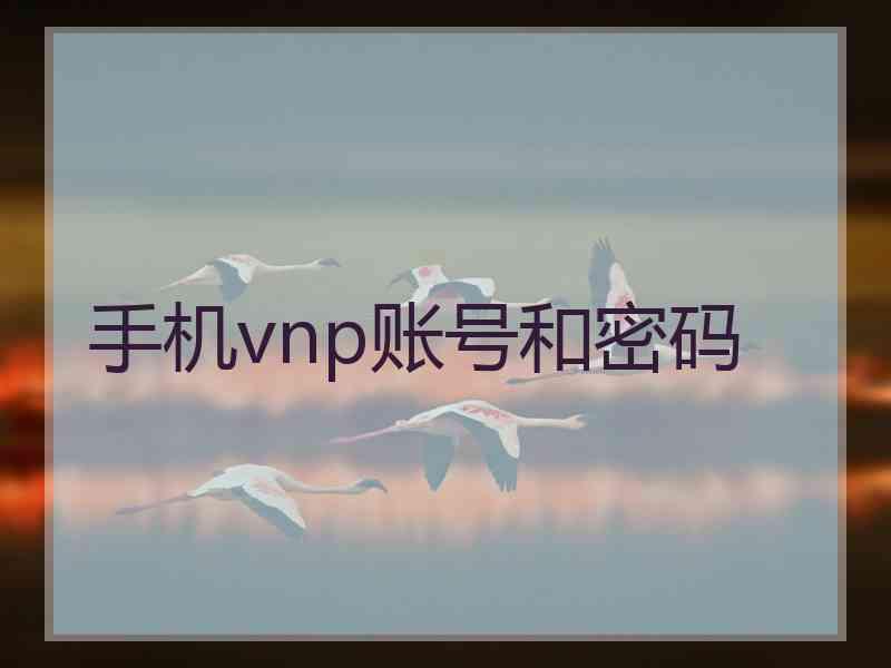 手机vnp账号和密码