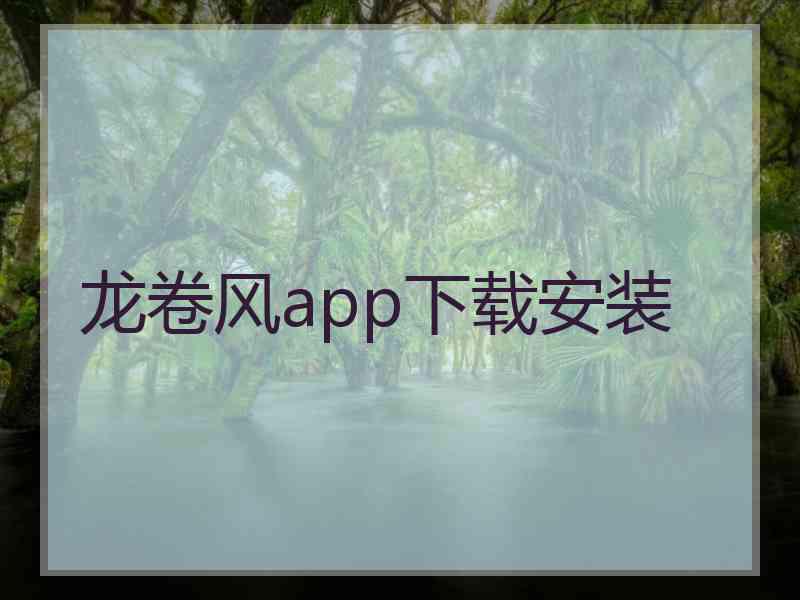 龙卷风app下载安装