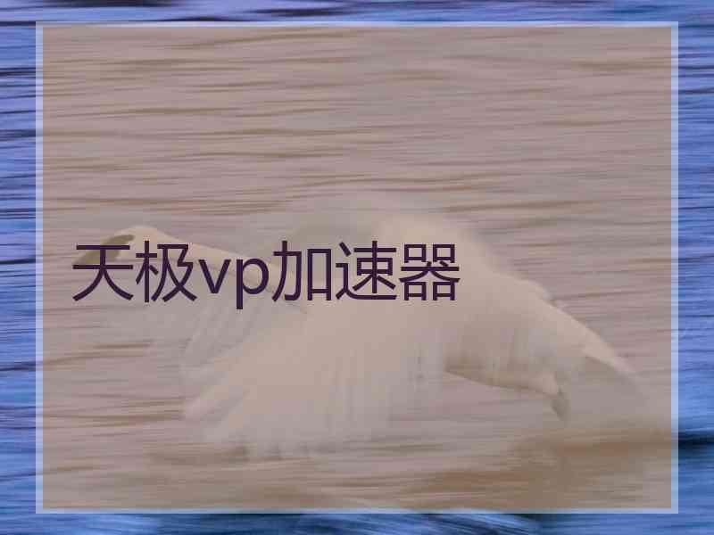 天极vp加速器