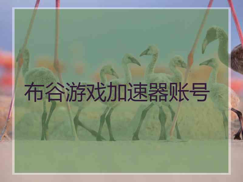 布谷游戏加速器账号