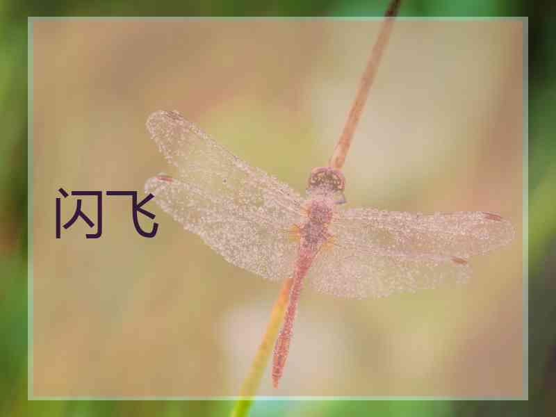 闪飞