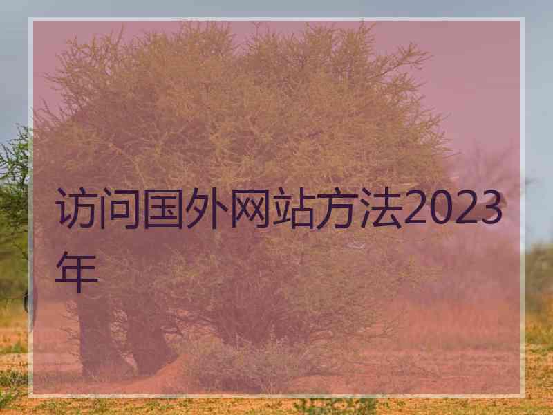 访问国外网站方法2023年