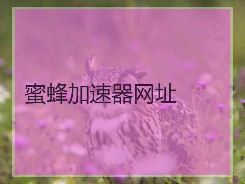 蜜蜂加速器网址
